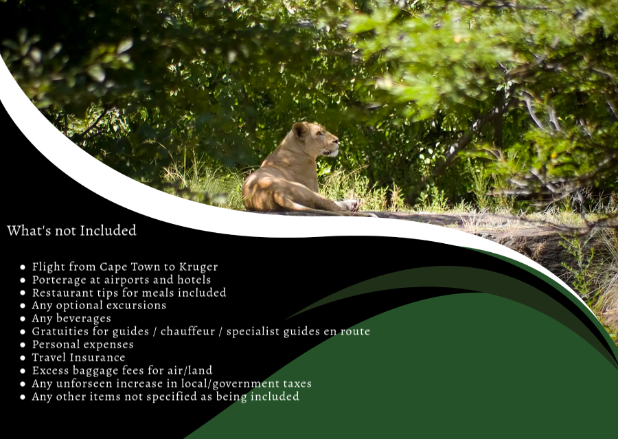 Travel Agency Banner Ad - Made with PosterMyWall (1).jpg