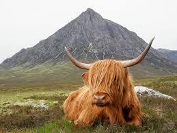 The Ultimate Scotland Guide: Touring ...