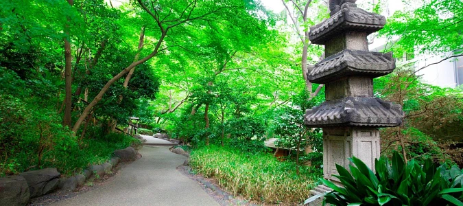 A path through a forestAI-generated content may be incorrect.